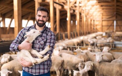 Mafrido ha obtenido la Certificación Welfair de Bienestar Animal